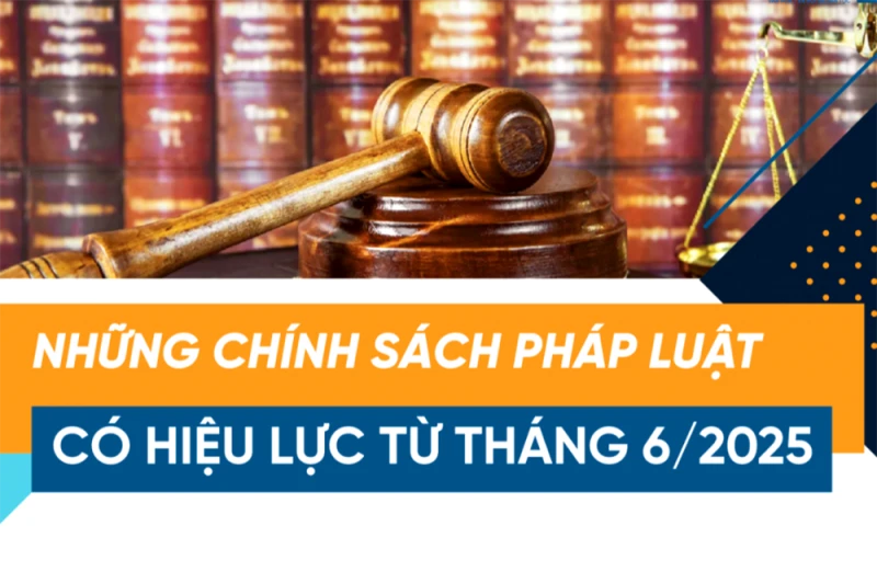 Các quy định pháp lý mới từ tháng 6/2025: Ảnh hưởng đến hoạt động kinh doanh
