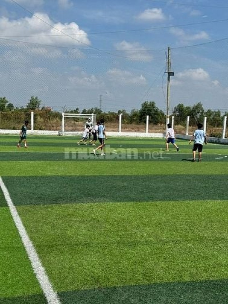 Cho thuê sân bóng đá Bình Chánh - Sân cỏ nhân tạo chất lượng
