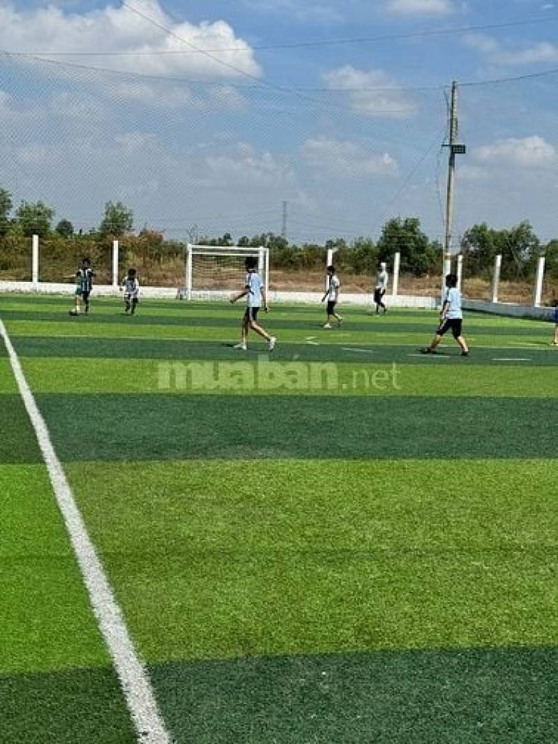 Cho thuê sân bóng đá Bình Chánh - Sân cỏ nhân tạo chất lượng