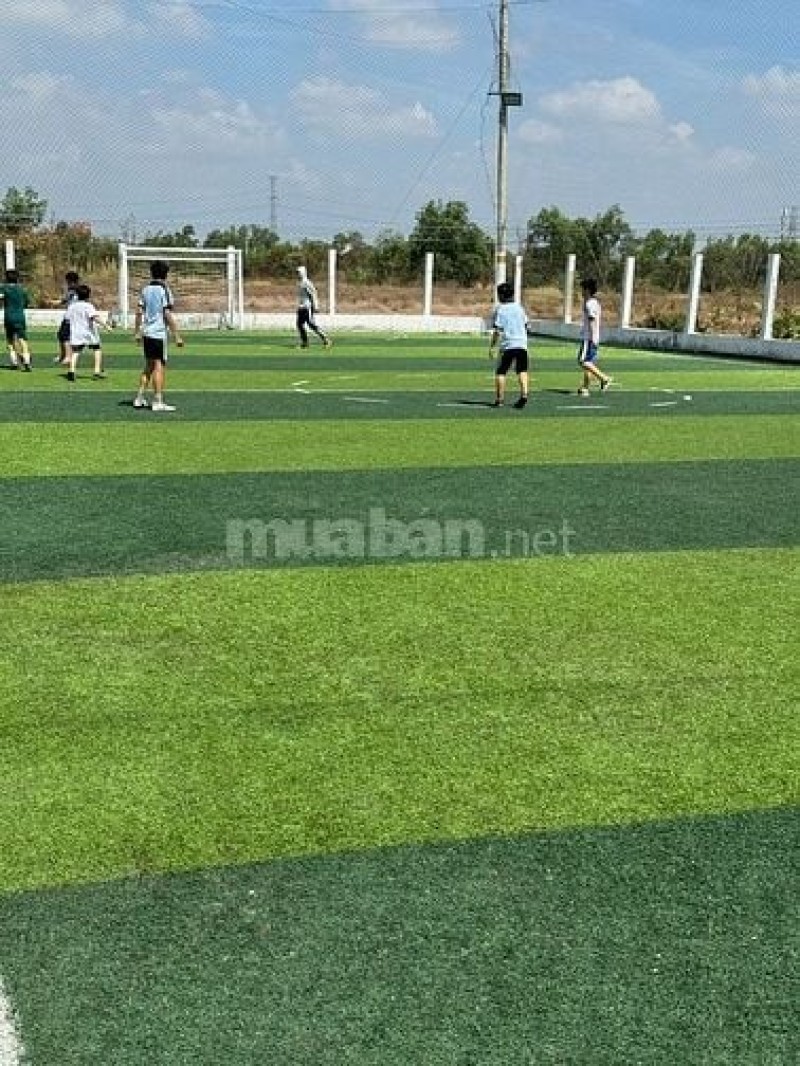 Cho thuê sân bóng đá Bình Chánh - Sân cỏ nhân tạo chất lượng