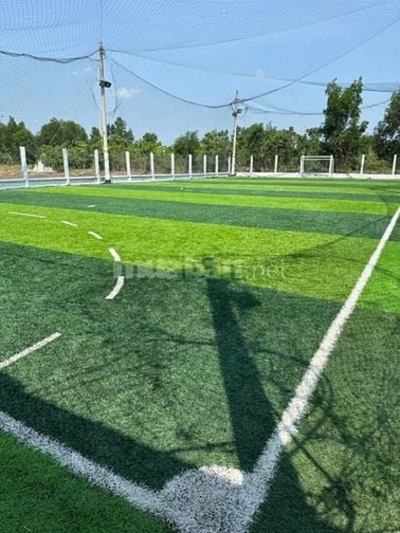 Cho thuê sân bóng đá Bình Chánh - Sân cỏ nhân tạo chất lượng