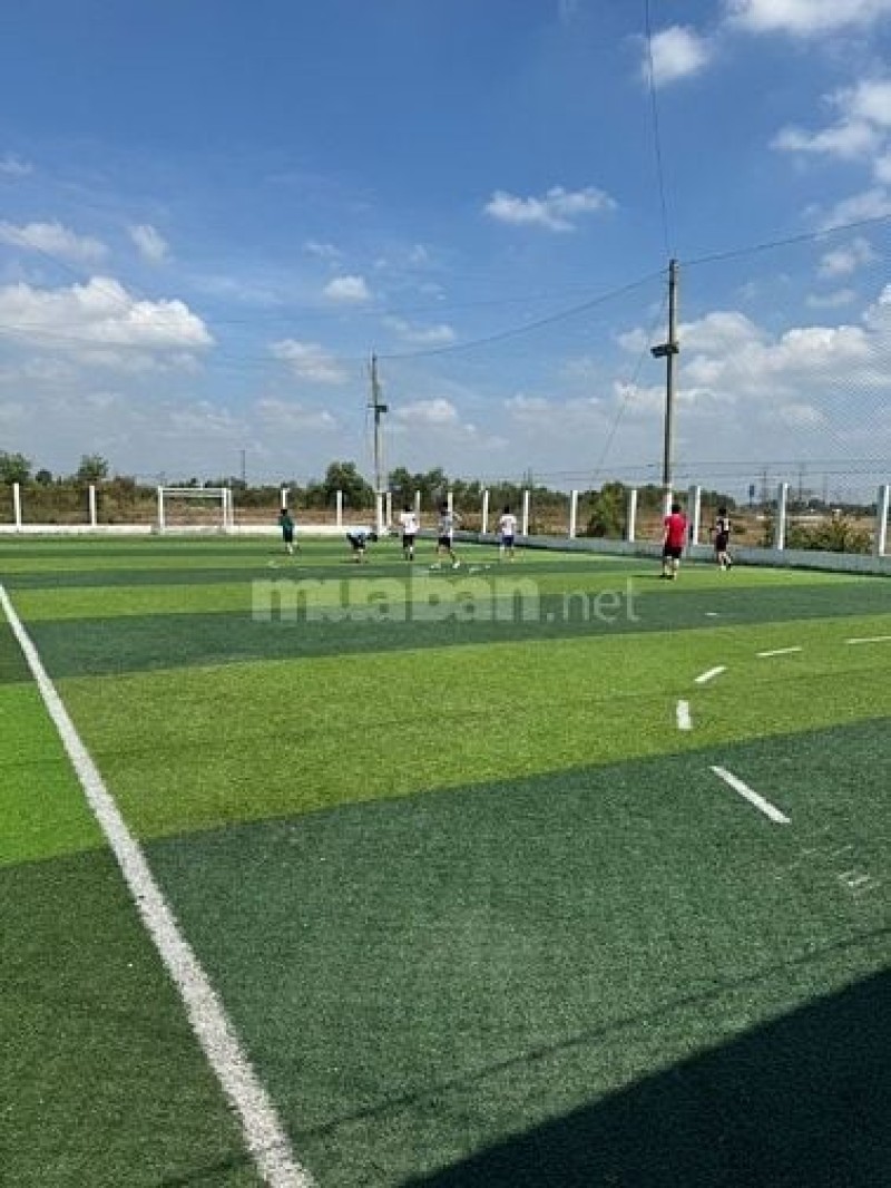 Cho thuê sân bóng đá Bình Chánh - Sân cỏ nhân tạo chất lượng