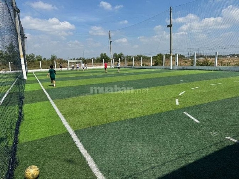 Cho thuê sân bóng đá Bình Chánh - Sân cỏ nhân tạo chất lượng