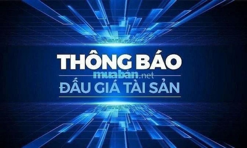 Công ty Đấu giá Hợp danh Dầu khí Việt Nam thông báo bán đấu giá Công ty Đấu giá Hợp danh Dầu khí Việt Nam thông báo bán đấu giá