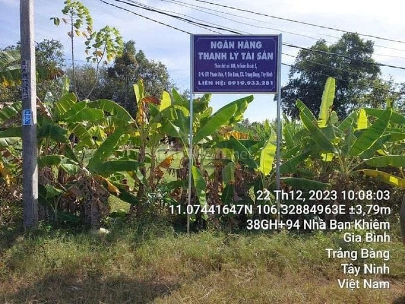 Công ty Đấu giá Lam Sơn Sài Gòn thông báo đấu giá tài sản