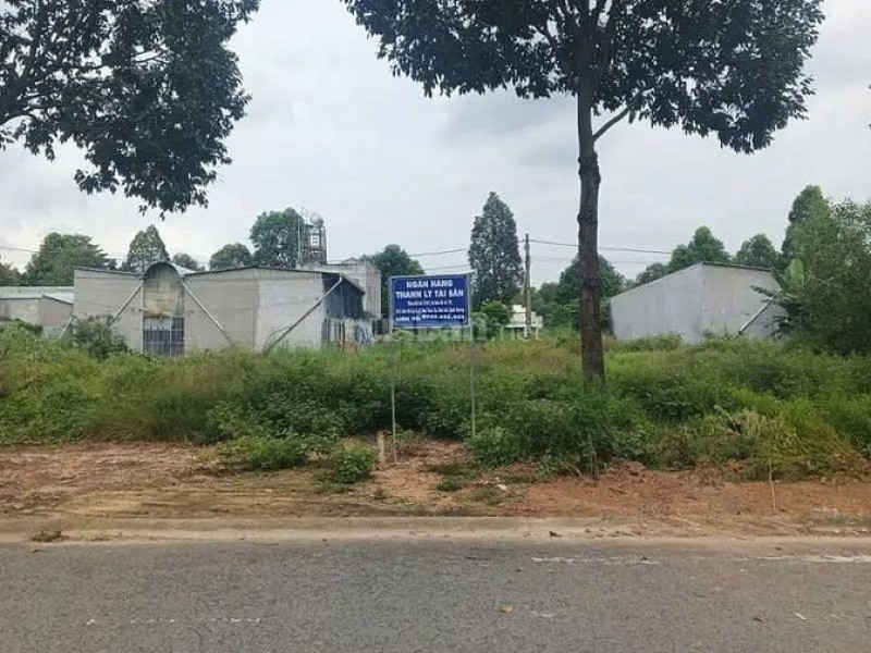 Công ty Đấu giá Lam Sơn Sài Gòn thông báo đấu giá tài sản