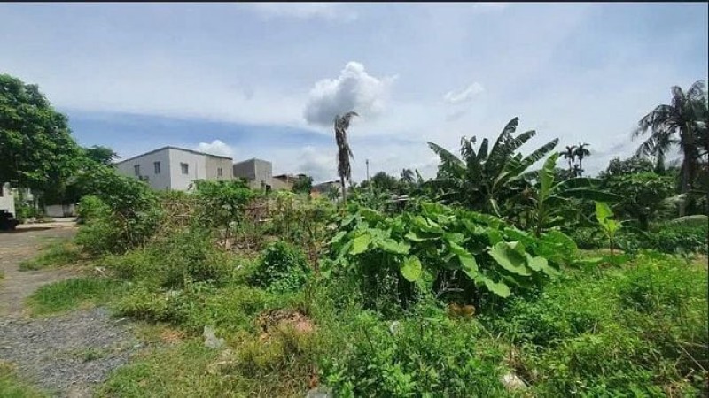 Công ty Đấu giá Lam Sơn Sài Gòn thông báo đấu giá tài sản