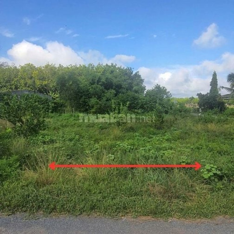 Công ty Đấu giá Lam Sơn Sài Gòn thông báo đấu giá tài sản Công ty Đấu giá Lam Sơn Sài Gòn thông báo đấu giá tài sản