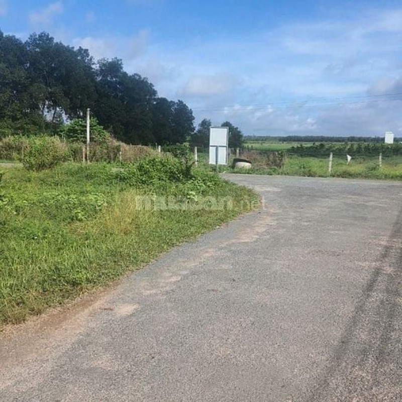 Công ty Đấu giá Lam Sơn Sài Gòn thông báo đấu giá tài sản