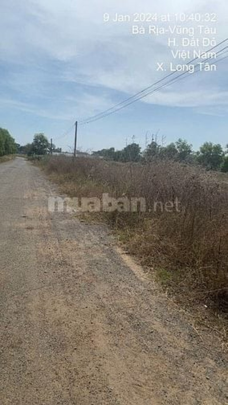 Công ty Đấu giá Lam Sơn Sài Gòn thông báo đấu giá tài sản Công ty Đấu giá Lam Sơn Sài Gòn thông báo đấu giá tài sản
