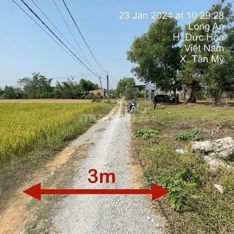 Công ty Đấu giá Lam Sơn Sài Gòn thông báo đấu giá tài sản Công ty Đấu giá Lam Sơn Sài Gòn thông báo đấu giá tài sản