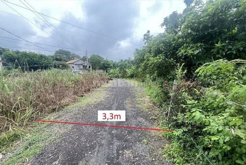 Công ty Đấu giá Lam Sơn Sài Gòn thông báo đấu giá tài sản Công ty Đấu giá Lam Sơn Sài Gòn thông báo đấu giá tài sản