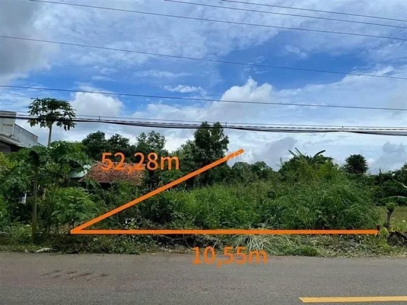 Công ty Đấu giá Lam Sơn Sài Gòn thông báo đấu giá tài sản Công ty Đấu giá Lam Sơn Sài Gòn thông báo đấu giá tài sản