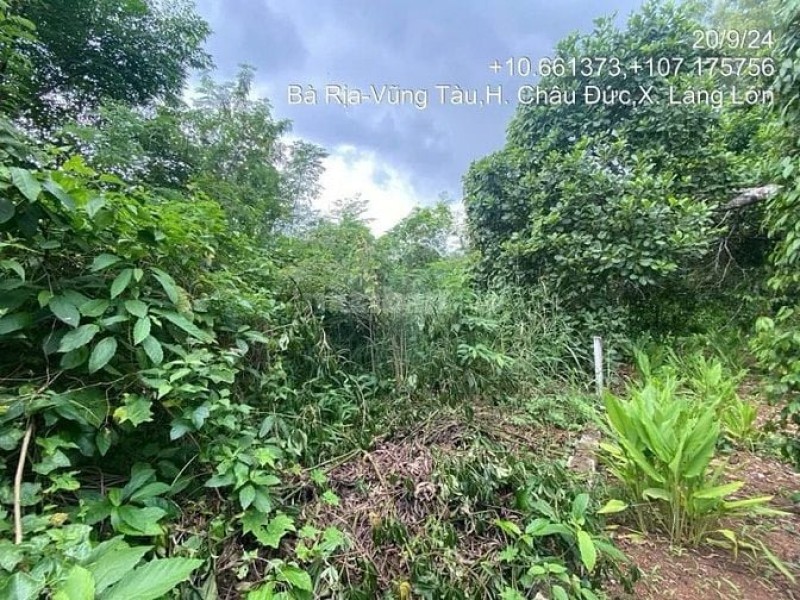 Công ty Đấu giá Lam Sơn Sài Gòn thông báo đấu giá tài sản Công ty Đấu giá Lam Sơn Sài Gòn thông báo đấu giá tài sản