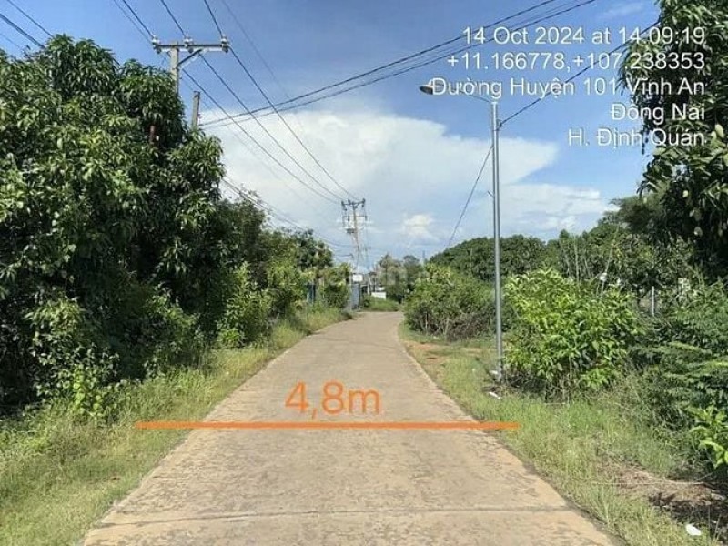 Công ty Đấu giá Lam Sơn Sài Gòn thông báo đấu giá quyền sử dụng đất tại Đồng Nai Công ty Đấu giá Lam Sơn Sài Gòn thông báo đấu giá quyền sử dụng đất tại Đồng Nai