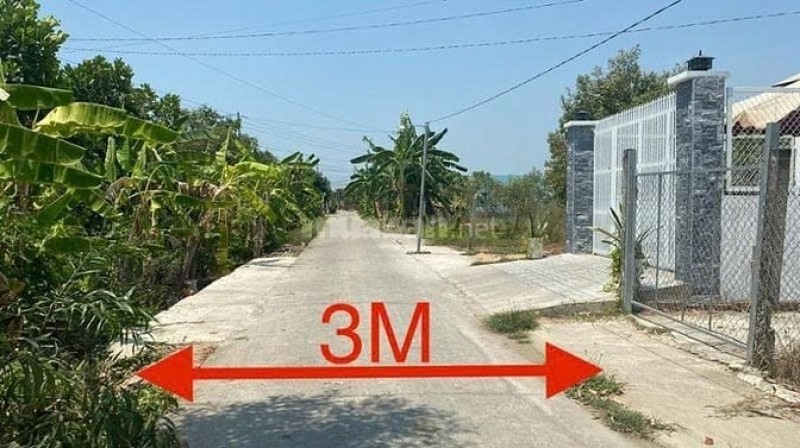 Công ty Đấu giá Lam Sơn Sài Gòn thông báo đấu giá quyền sử dụng đất tại Long An Công ty Đấu giá Lam Sơn Sài Gòn thông báo đấu giá quyền sử dụng đất tại Long An