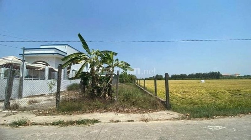Công ty Đấu giá Lam Sơn Sài Gòn thông báo đấu giá quyền sử dụng đất tại Long An Công ty Đấu giá Lam Sơn Sài Gòn thông báo đấu giá quyền sử dụng đất tại Long An