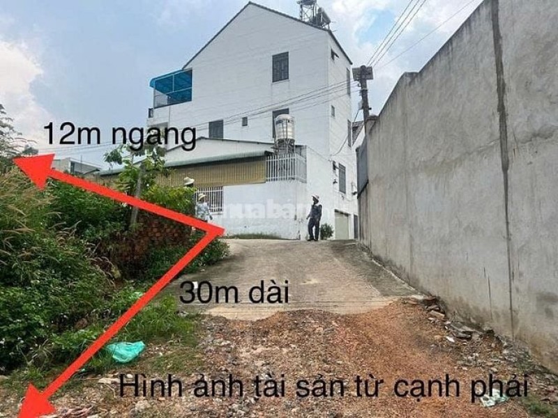 Công ty Đấu giá Lam Sơn Sài Gòn thông báo đấu giá tài sản Công ty Đấu giá Lam Sơn Sài Gòn thông báo đấu giá tài sản