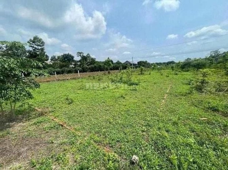 Công ty Đấu giá Lam Sơn Sài Gòn thông báo đấu giá tài sản