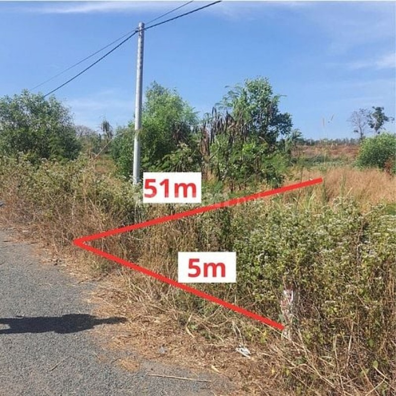 Công ty Đấu giá Lam Sơn Sài Gòn thông báo đấu giá tài sản Công ty Đấu giá Lam Sơn Sài Gòn thông báo đấu giá tài sản