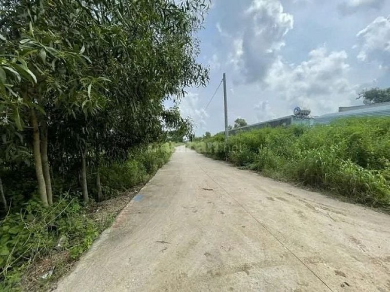 Công ty Đấu giá Lam Sơn Sài Gòn thông báo đấu giá tài sản Công ty Đấu giá Lam Sơn Sài Gòn thông báo đấu giá tài sản