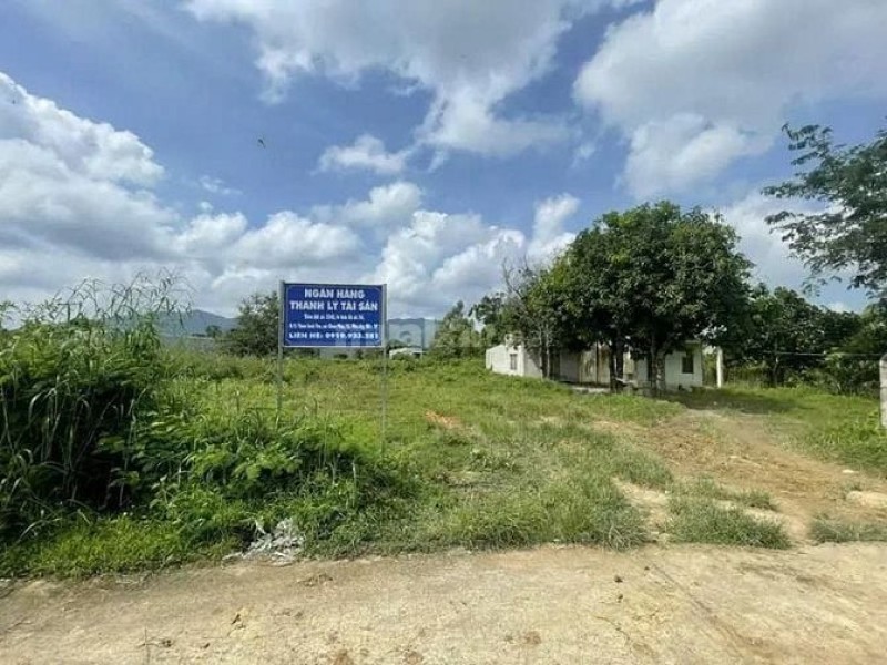 Công ty Đấu giá Lam Sơn Sài Gòn thông báo đấu giá tài sản
