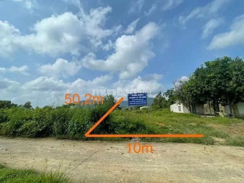 Công ty Đấu giá Lam Sơn Sài Gòn thông báo đấu giá tài sản