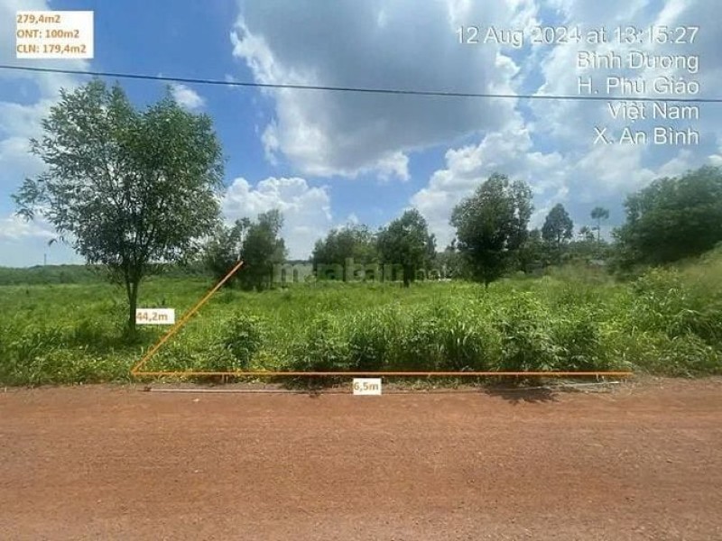 Công ty Đấu giá Lam Sơn Sài Gòn thông báo đấu giá tài sản Công ty Đấu giá Lam Sơn Sài Gòn thông báo đấu giá tài sản