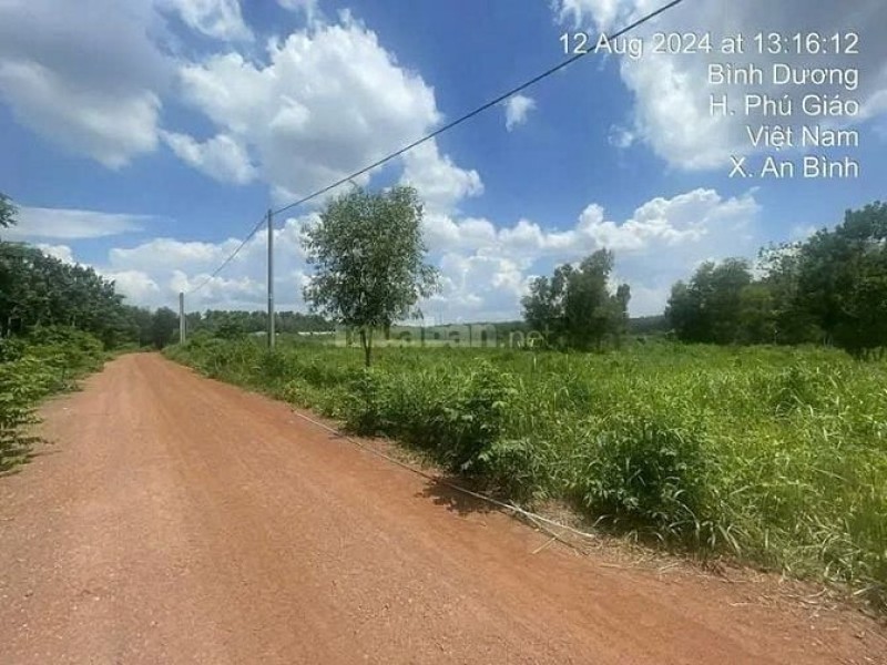 Công ty Đấu giá Lam Sơn Sài Gòn thông báo đấu giá tài sản Công ty Đấu giá Lam Sơn Sài Gòn thông báo đấu giá tài sản