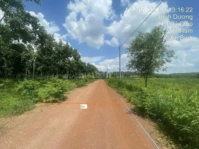 Công ty Đấu giá Lam Sơn Sài Gòn thông báo đấu giá tài sản