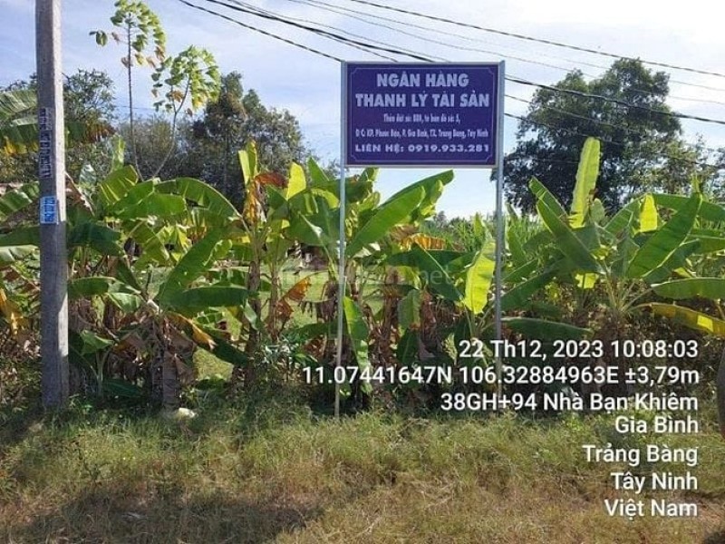 Công ty Đấu giá Lam Sơn Sài Gòn thông báo đấu giá tài sản Công ty Đấu giá Lam Sơn Sài Gòn thông báo đấu giá tài sản