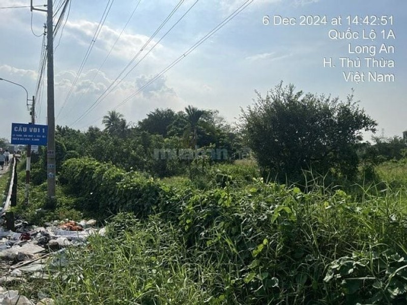 Công ty Đấu Giá Hợp Danh Minh Pháp thông báo đấu giá tài sản Công ty Đấu Giá Hợp Danh Minh Pháp thông báo đấu giá tài sản