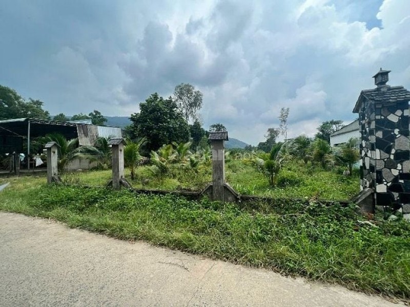 Công ty Đấu giá Hợp danh Minh Pháp thông báo đấu giá tài sản Công ty Đấu giá Hợp danh Minh Pháp thông báo đấu giá tài sản