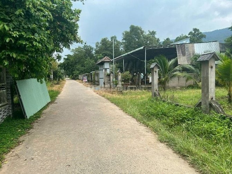 Công ty Đấu giá Hợp danh Minh Pháp thông báo đấu giá tài sản Công ty Đấu giá Hợp danh Minh Pháp thông báo đấu giá tài sản