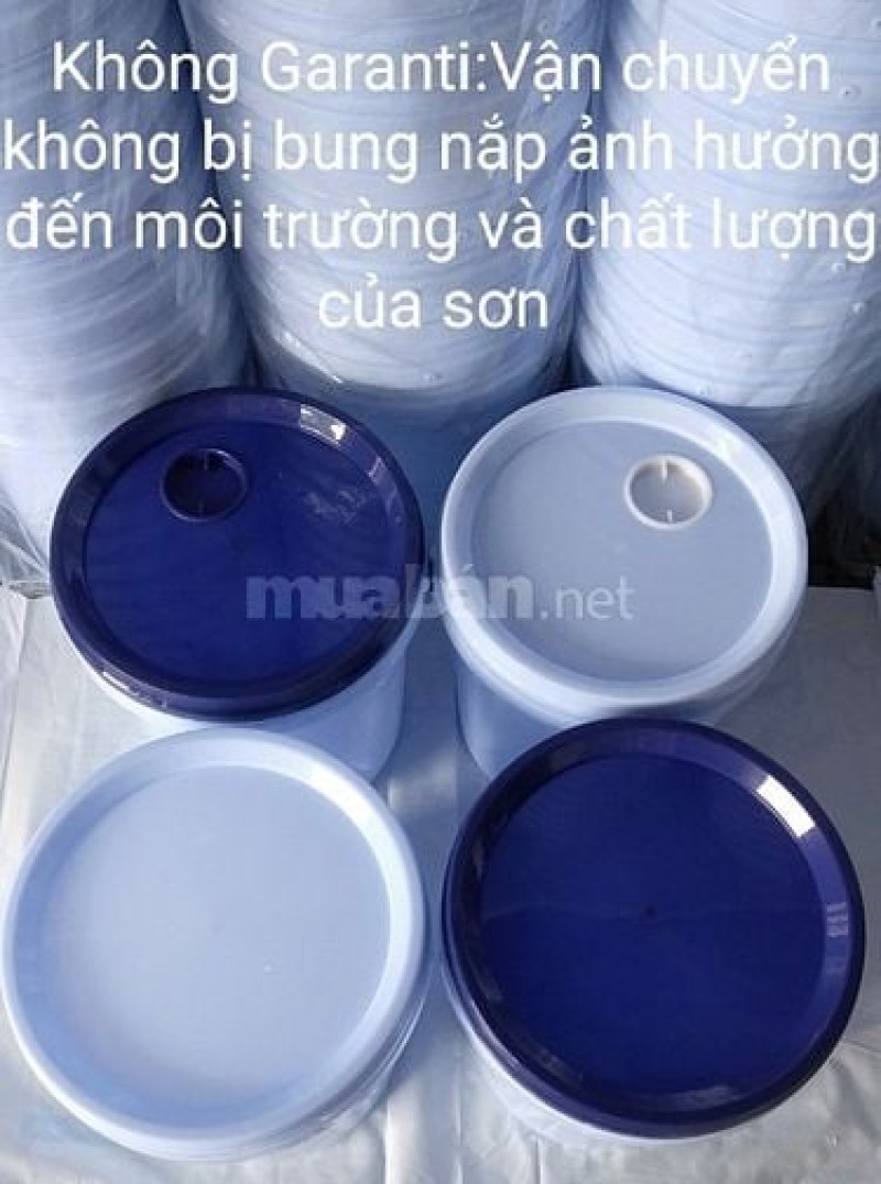 Cung cấp vỏ thùng sơn nước và dịch vụ in ấn chất lượng