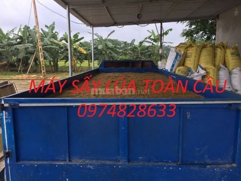 Máy sấy lúa chạy mưa - Giải pháp mùa thu hoạch cho nông dân miền Bắc Máy sấy lúa chạy mưa - Giải pháp mùa thu hoạch cho nông dân miền Bắc