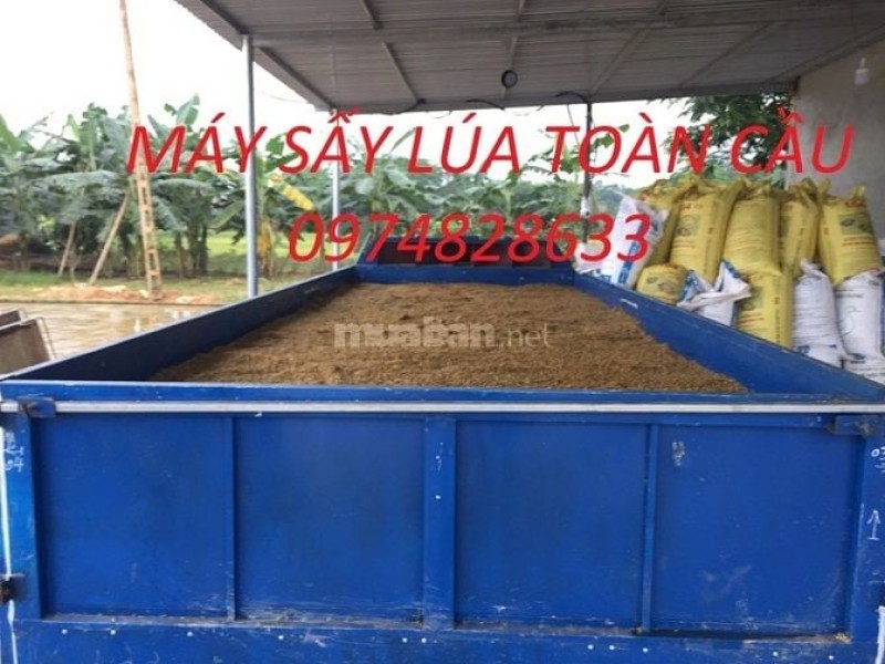 Máy sấy lúa chạy mưa - Giải pháp mùa thu hoạch cho nông dân miền Bắc